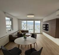 3-izb. byt, Martina Granca, Dúbravka, novostavba Pekná výhliadka - Obývačka v 3-izbovom byte s výhľadom, svetlou podlahou s dreveným dekorom a sedením.