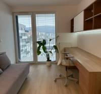 3-izb. byt, Martina Granca, Dúbravka, novostavba Pekná výhliadka - Izba s pracovným stolom, pohovkou, rastlinou a podlahou s dreveným dekorom v 3-izbovom byte.