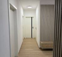 3-izb. byt, Martina Granca, Dúbravka, novostavba Pekná výhliadka - Chodba s bielymi stenami, vstavaným nábytkom a podlahou s dreveným dekorom v 3-izbovom byte.