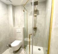 4-izb. byt, Cabanova ul., Dúbravka so samostatným vstupom - Kúpeľňa so sprchovým kútom a toaletou so zlatými detailmi, ideálna pre 4-izbový byt.