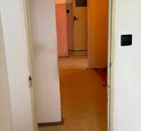 4-izb. byt, Martinčekova ul., Ružinov, 2.p./10, 2 x lodžia - Chodba v 4-izbovom byte s farebnými stenami a jednoduchými dverami.