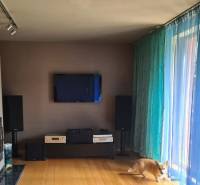 5-izb. dvojpodlažný rodinný dom, Rovinka - Obývačka v rodinnom dome so psom, televízorom a farebnými závesmi.