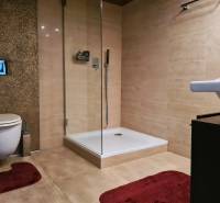 5-izb. dvojpodlažný rodinný dom, Rovinka - Kúpeľňa v rodinnom dome s toaletou, sprchou a červenými kobercami.