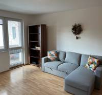 3-izb. byt, Palkovičova ul., Ružinov, lodžia, 4.p./12 - Obývacia izba v 3-izbovom byte so sedačkou, policou a podlahou s dreveným dekorom.