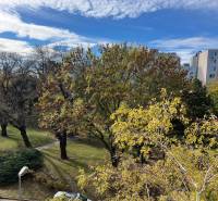 3-izb. byt, Palkovičova ul., Ružinov, lodžia, 4.p./12 - Park na Palkovičovej ulici v Bratislave - Ružinove s obytnými budovami v pozadí.