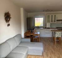 3-izb. byt, Palkovičova ul., Ružinov, lodžia, 4.p./12 - Obývacia izba s kuchyňou v 3-izbovom byte, podlaha s dreveným dekorom, sivá pohovka.