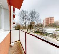 Priestranný 3 izbový byt s dvomi balkónmi, BA III. Kramáre, Stromová - Balkón s výhľadom na ulicu Stromová, obklopený stromami v Bratislave - Vinohradoch.