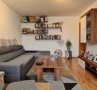 Predaj 2i byt v meste Kremnica, 64m2 - Obývacia izba v 2-izbovom byte s pohovkou a policami na knihy.