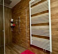 Rodinný dom v Bratislave – Podunajské Biskupice - Kúpeľňa s dreveným dekorom, sprchovým kútom a bielym radiátorom v rodinnom dome.
