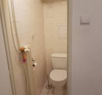 PREDAJ 2 IZBOVÝ BYT HANDLOVÁ  - Toaleta v 2-izbovom byte s keramickými obkladmi a čistiacimi prostriedkami na polici.