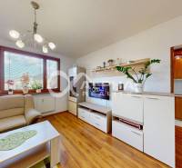 EXKLUZÍVNE 3i byt s loggiou, Spišské Podhradie - Obývacia izba v 3-izbovom byte s podlahou s dreveným dekorom a priamym výhľadom von.