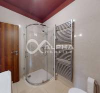 EXKLUZÍVNE 2i apartmán s terasou, garážovým státím, Veľká Lomnica - Kúpeľňa v 2-izbovom byte s rohovým sprchovacím kútom a rebríkovým radiátorom.