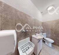 Prenájom obchodný, kancelársky priestor, centrum, Sp. N. Ves - Toaleta vo svetlých obchodných priestoroch so svetlými stenami a drezom.