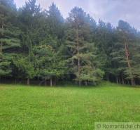 Stavebný pozemok pod lesom s pekným výhľadom na Lúky a Lazy pod Makyto - Lúky Záhrady predaj reality Púchov