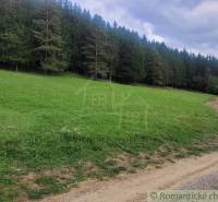 Stavebný pozemok pod lesom s pekným výhľadom na Lúky a Lazy pod Makyto - Lúky Záhrady predaj reality Púchov