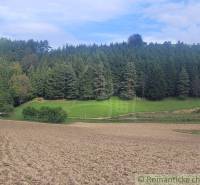 Stavebný pozemok pod lesom s pekným výhľadom na Lúky a Lazy pod Makyto - Lúky Záhrady predaj reality Púchov