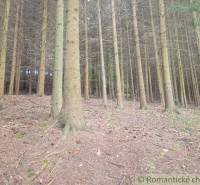 Stavebný pozemok pod lesom s pekným výhľadom na Lúky a Lazy pod Makyto - Lúky Záhrady predaj reality Púchov