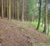 Stavebný pozemok pod lesom s pekným výhľadom na Lúky a Lazy pod Makyto - Lúky Záhrady predaj reality Púchov