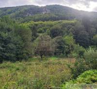 Stavebný pozemok pod lesom končiaci potôčikom v krásnom prírodnom pros - Hustá zelená vegetácia a lesné kopce v pozadí na Rekreačných pozemkoch pri Beluši.