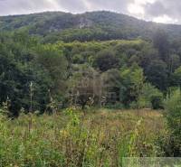 Stavebný pozemok pod lesom končiaci potôčikom v krásnom prírodnom pros - Zelené pozemky na bývanie v Beluši s lesnatým kopcom v pozadí.