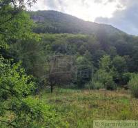 Stavebný pozemok pod lesom končiaci potôčikom v krásnom prírodnom pros - Zeleň a okolitá príroda v Pozemkoch na bývanie v Beluši.