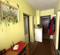 Na predaj dom vhodný na podnikanie sídlisko SNP v P. Bystrici! - Chodba v Rodinnom dome so žltými stenami, rastlinou, zrkadlom a kobercovou podlahou.