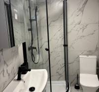 Prenájom komplet prerobený a zariadený  RD 3 izb. Blatné  - Kúpeľňa rodinného domu s mramorovým obkladom, sprchovým kútom a umývadlom.