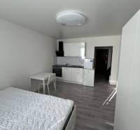 ZREKONŠTRUOVANÁ ZARIADENÁ GARSÓNKA - Garsónka s bielou kuchynskou linkou a podlahou s dreveným dekorom, posteľou a stolom.