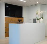 Kompletne zariadená ambulancia, Záhorská Bystrica - Recepcia, kvety, televízia, drevené prvky, čisté línie, na ulici Kunovská, obchodné priestory.