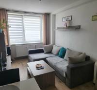 Na prenájom  1,5 izbový byt  Učňovská ulica Šaca - Obývacia izba s pohovkou, stolíkom a podlahou s dreveným dekorom v 2-izbovom byte.