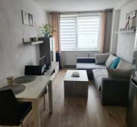 Na prenájom  1,5 izbový byt  Učňovská ulica Šaca - Obývacia izba v 2-izbovom byte s pohovkou a podlahou s dreveným dekorom.