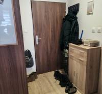 Na prenájom  1,5 izbový byt  Učňovská ulica Šaca - Predsieň v 2-izbovom byte s drevenými dverami a podlahou s dreveným dekorom.