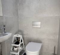 Prenájom 3-izbový byt s loggiou, SKY PARK, Bratislava - Kúpeľňa so závesnou toaletou, umývadlom a poličkou v 3-izbovom byte.