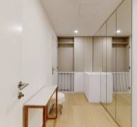 Prenájom 3-izbový byt s terasou, SKY PARK, Bratislava - Predsieň s podlahou s dreveným dekorom a veľkými zrkadlami v 3-izbovom byte.