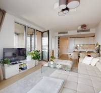 Prenájom 3-izbový byt s terasou, SKY PARK, Bratislava - Obývacia izba 3-izbového bytu s pohovkou, TV, ľahkými závesmi a podlahou s dreveným dekorom.