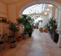Predaj lukratívneho polyfunkčného objektu v Poprade - Chodba Hotely a penzióny s kvetmi a sedením, podlaha s dekorom.