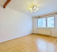 3-izbový byt S GARÁŽOU, Podolínec, ulica Družstevná - Izba s podlahou s dreveným dekorom a stropným svietidlom v 3-izbovom byte.