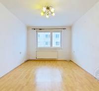 3-izbový byt S GARÁŽOU, Podolínec, ulica Družstevná - Miestnosť s podlahou s dreveným dekorom a oknom v 3-izbovom byte.