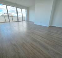 3i. BYT S VLASTNÝM TEP. ČERPADLOM + KLIMATIZÁCIA A EXTERIÉROVÉ ŽALÚZIE - Priestranná obývacia izba s drevenou podlahou a veľkými oknami v 3-izbovom byte.