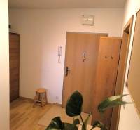 Novostavba s parkovaním 2 izbový byt, Jégeho ulica, BA II. Ružinov - Vstupná časť 2-izbového bytu s podlahou s dreveným dekorom a izbovou rastlinou.