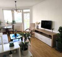 Novostavba s parkovaním 2 izbový byt, Jégeho ulica, BA II. Ružinov - Obývacia izba s podlahou s dreveným dekorom, televízorom a rastlinami v 2-izbovom byte.