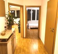 Novostavba s parkovaním 2 izbový byt, Jégeho ulica, BA II. Ružinov - Chodba 2-izbového bytu s podlahou s dreveným dekorom, izbovými rastlinami a nábytkom.