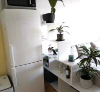 Novostavba s parkovaním 2 izbový byt, Jégeho ulica, BA II. Ružinov - Interiér 2-izbového bytu so štýlovým bielym regálom a podlahou s dreveným dekorom.