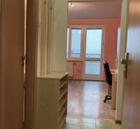 I prenájom Útulne zariadená garsónka s loggiou – Petržalka - Garsónka s podlahou s dreveným dekorom a nábytkom, s výhľadom z okna.