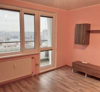 I prenájom Útulne zariadená garsónka s loggiou – Petržalka - Garsónka s podlahou s dreveným dekorom, výhľadom na Bratislavu cez veľké okná.