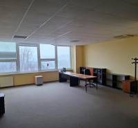 TOP CENA: Administratíva 420m2, Dúbravka - Priestranné kancelárie s nábytkom, veľkými oknami a kobercom.