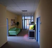 TOP CENA: Administratíva 420m2, Dúbravka - Kancelárie s akváriom, zelenou sedačkou a rastlinou.