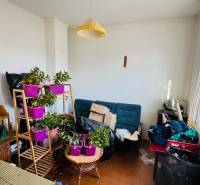 Na predaj 3 i RD v Partizánskom – Veľké Bielice, pozemok 1149 m2 - Izba v rodinnom dome s rastlinami, sedačkou a stolíkom pred veľkým oknom.