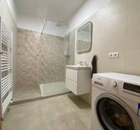 Prenájom 2 izbový 78 m2 + 30 m2 terasa,novostavba Koliba,zariadený - Kúpeľňa v 2-izbovom byte s práčkou, sprchovým kútom a umývadlom.