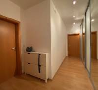 Prenájom 2 izbový 78 m2 + 30 m2 terasa,novostavba Koliba,zariadený - Chodba s podlahou s dreveným dekorom a vstavanými skriňami v 2-izbovom byte.